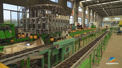 Primer Foro del Servicio de Normalización del Origen de Frutas