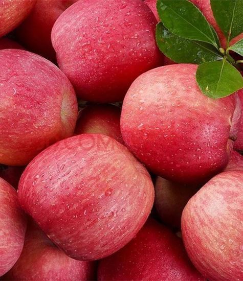 Todo tipo de manzanas