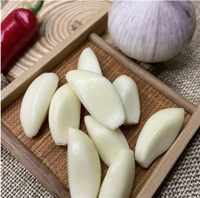 Cultivo de ajo espacial